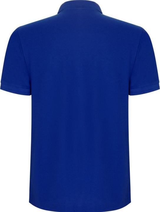 Produktbild Alpinia Pegaso Premium Poloshirt kurzärmlig (4XL)