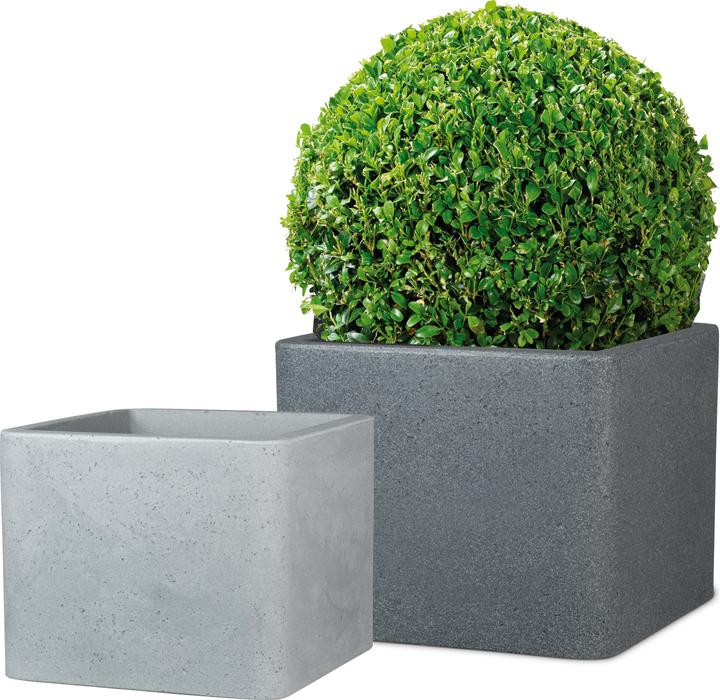 Produktbild Scheurich Alea (29.50 cm)