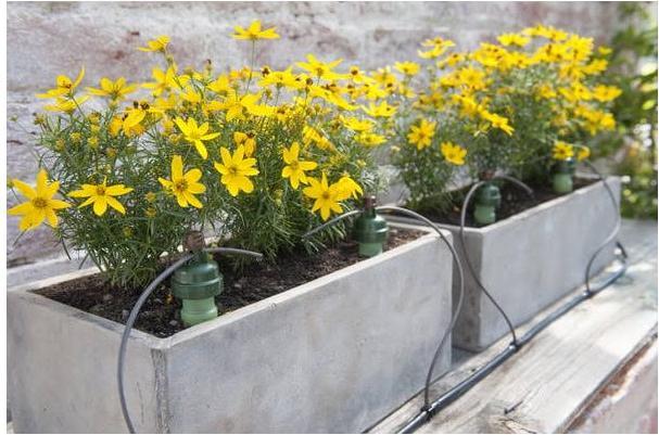 Actual product image Blumat Drip set 10m (Drip irrigation set)