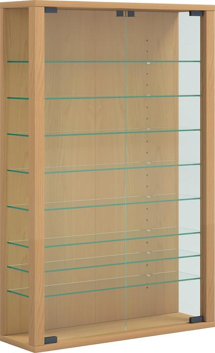 VCM Collectable wall display case (59 x 18 x 91 cm)
