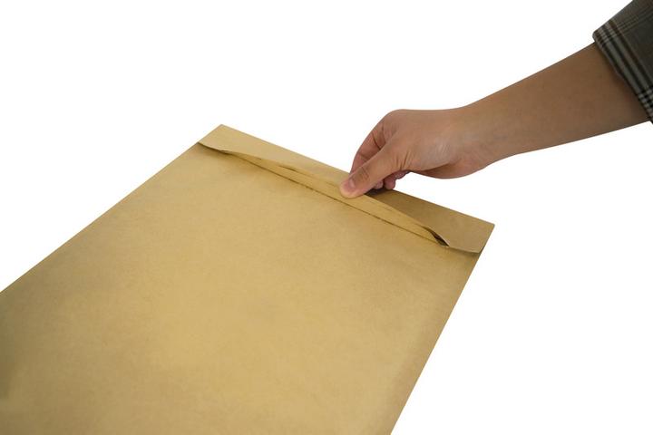 Actual product image Elco Paper padded bag (95 x)