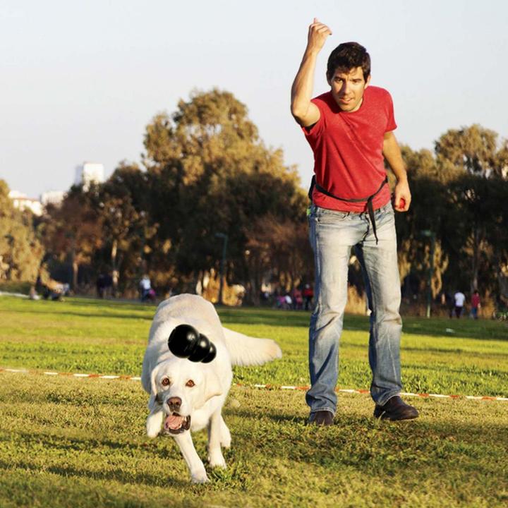Image du produit KONG Extrême (Apporter, Jouet alimentaire pour chien, Jouet à mâcher pour chien)