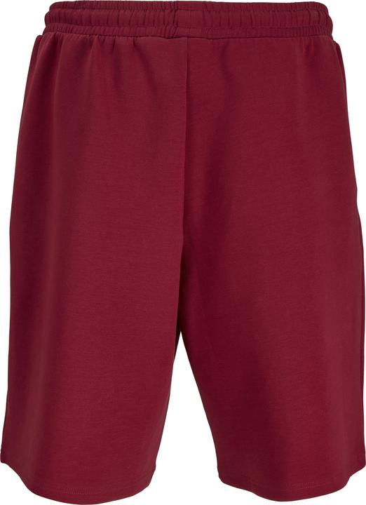 Image du produit Jack & Jones Jpstbill Fletcher Shorts C Org Styd Ss25 (L)