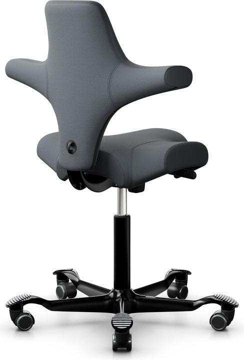 Produktbild HAG Capisco 8106 SELECT