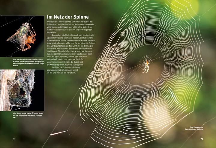 Image du produit Entdecke die Spinnen (Allemand, Criton Kunz, 2018)