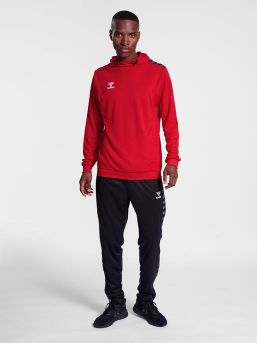 Actual product image hummel Hmlauthentic Pl Hoodie (S)
