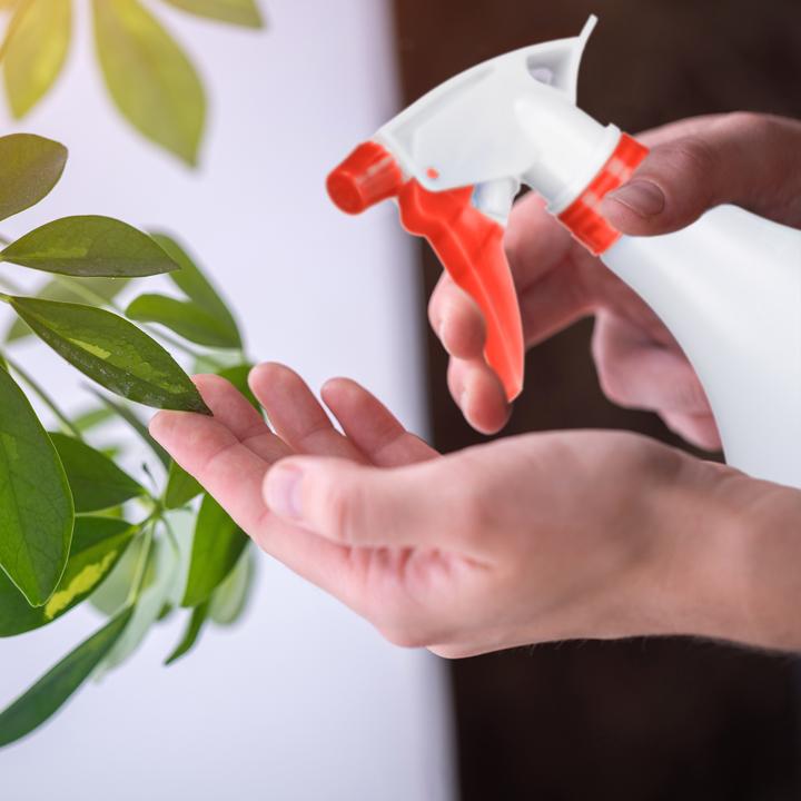Actual product image Relaxdays Plant Spray Bottle, Set of 3 (3 l)
