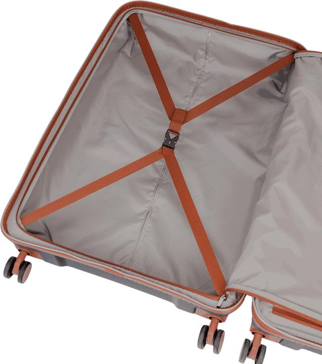 Immagine prodotto Swissbags New Vision (120 l, Bagaglio a mano (fino a 50 litri), M (50 - 90l), L (90 - 115l))