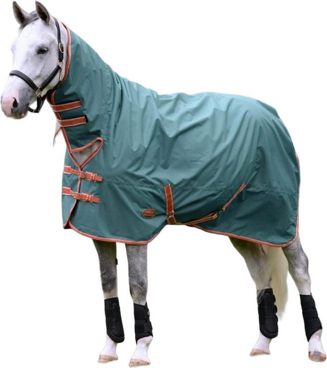 Actual product image Weatherbeeta Comfitec Tyro Plus Combo Neck Lightweight Horse Rug (213 cm)