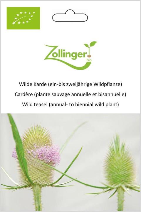Image du produit Zollinger Bio Carde sauvage (plante sauvage annuelle ou bisannuelle) (Plante bulbeuse)