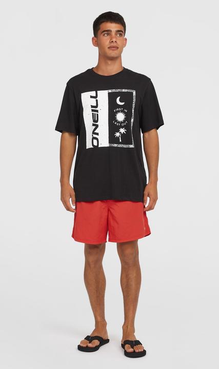 Actual product image O'Neill VERT 16" SWIMSHORTS (L)