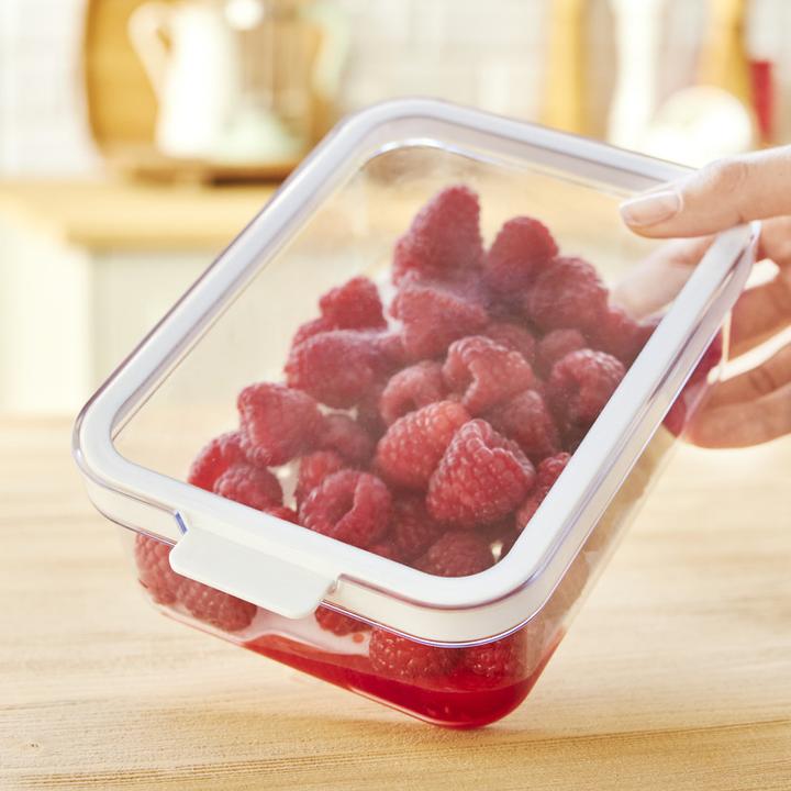 Actual product image Rotho Cauma fridge organiser