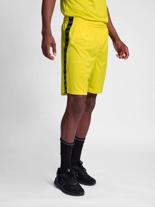 Actual product image hummel Hmlauthentic Pl Shorts (M)