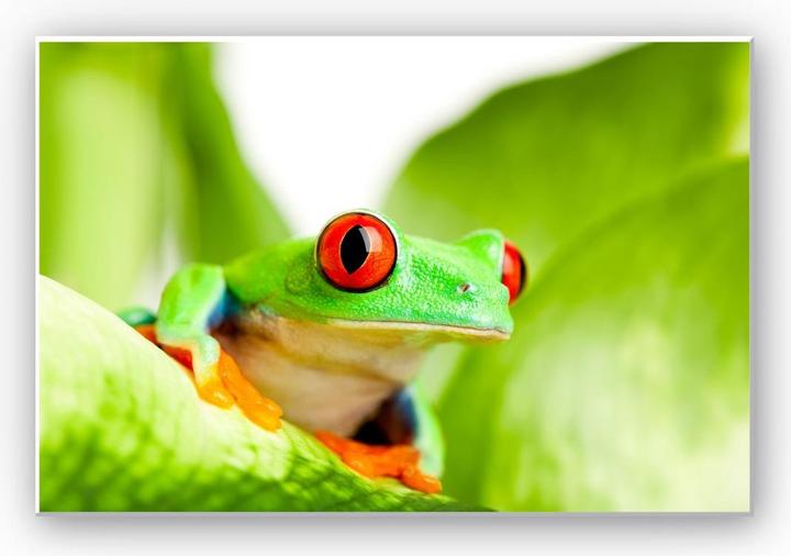 Image du produit Trenddeko sauteur de cracker (60 x 40 cm)