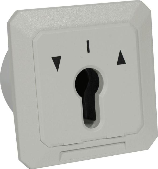 Actual product image BSW Key switch PZ, ST-KCB200, permanent or pulse contact, 85x85x60 mm, silver-coloured (Profile cylinder)