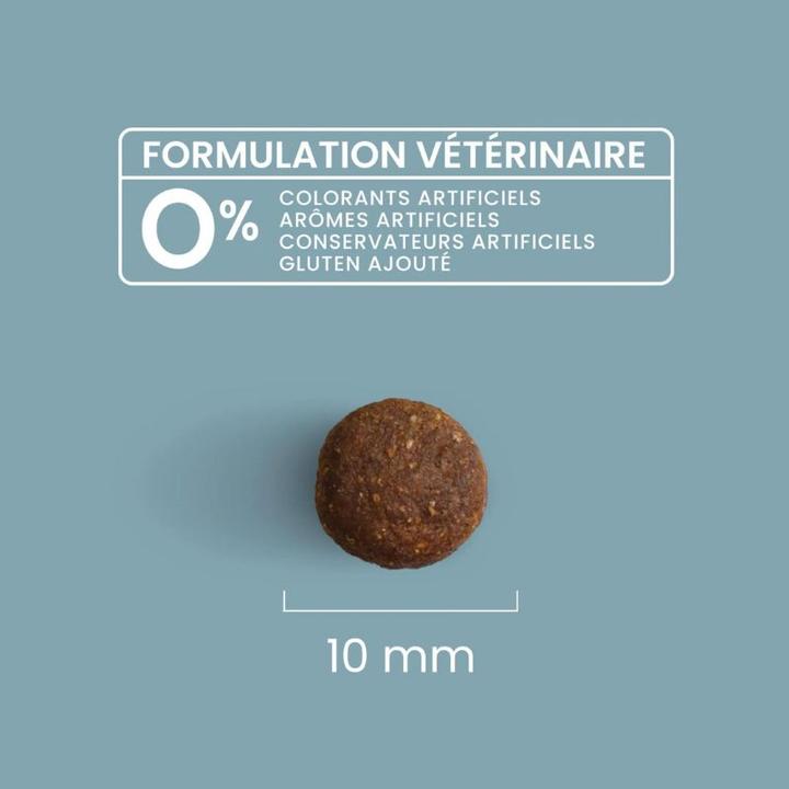 Actual product image Ultra Premium Direct Sterilised Cat - Chicken & Rice (Adult, Senior, 1 pcs., 1000 g)