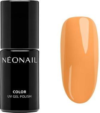 Immagine prodotto Neonail Smalto UV 7,2ml Orange Team Peach Colors UV Gel Nails Nail Design Shellac (Team Peach, Smalto per unghie effetto gel)