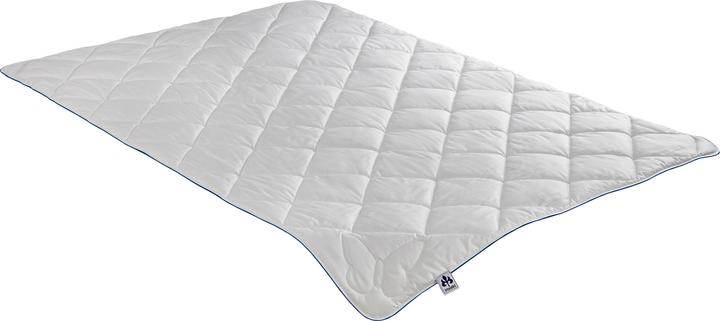 Produktbild Irisette Seidendecke leicht, Füllung: 100% Seide (700 g, 155 x 200 cm)