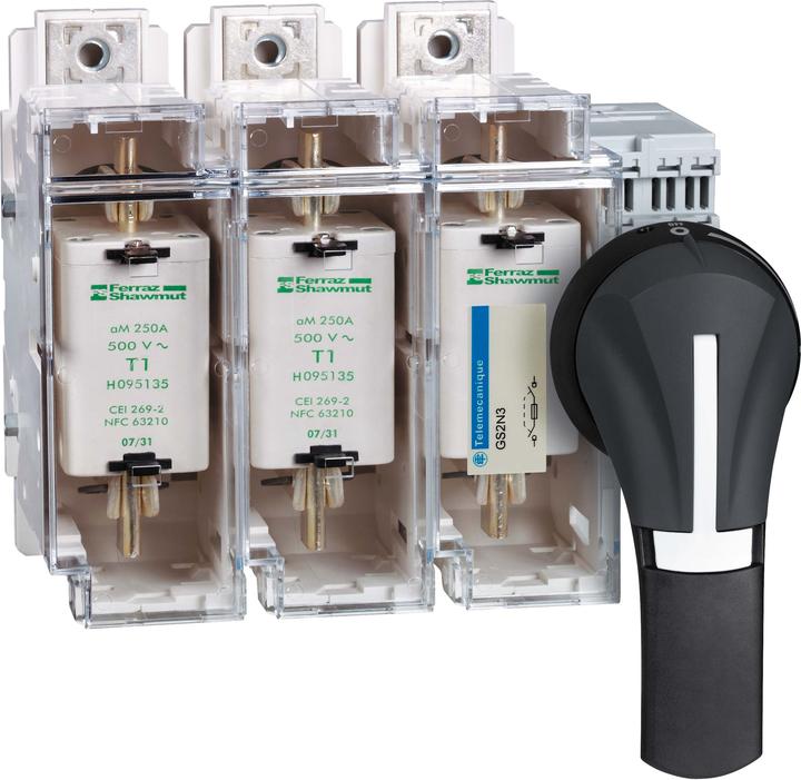 Immagine prodotto Schneider Electric Interruttore con fusibile 3x 250A 1