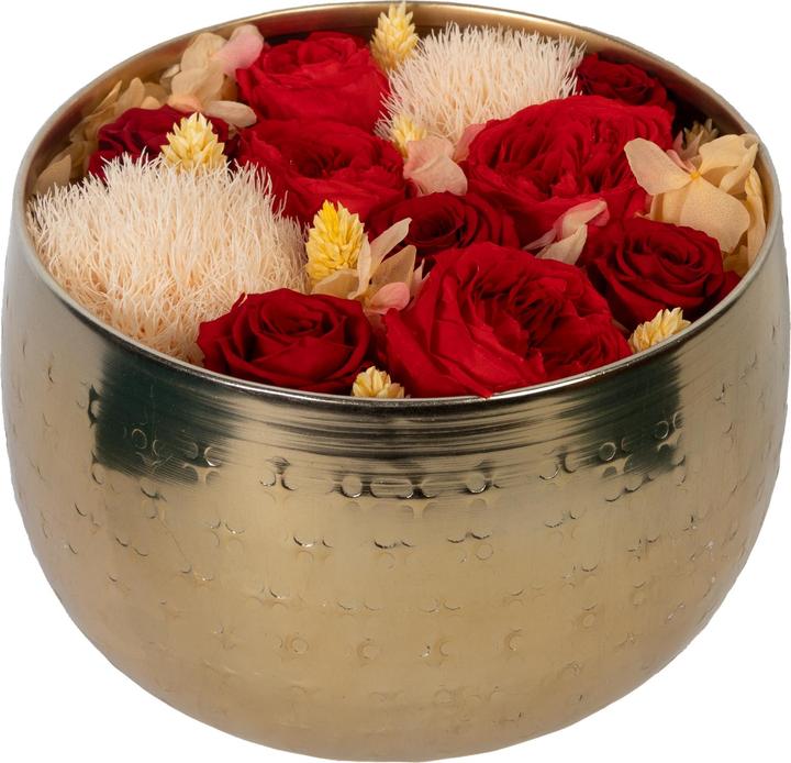 Migros Ostschweiz Premium Rosen (Stabilisierte Rosen) in der Goldschale (Infinity Blumen)