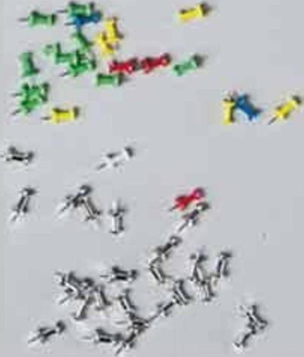 Actual product image Zeller Present Push-Pins (25 Piece, 8.70 mm)