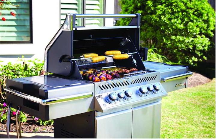 Produktbild Napoleon Prestige Pro 500 (16 kW)