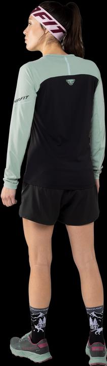 Produktbild Dynafit Alpine Pro Langarmshirt (40, L)