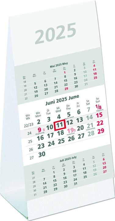 Actual product image Three month calendar 980 10,5x21cm 2025 (German, English)