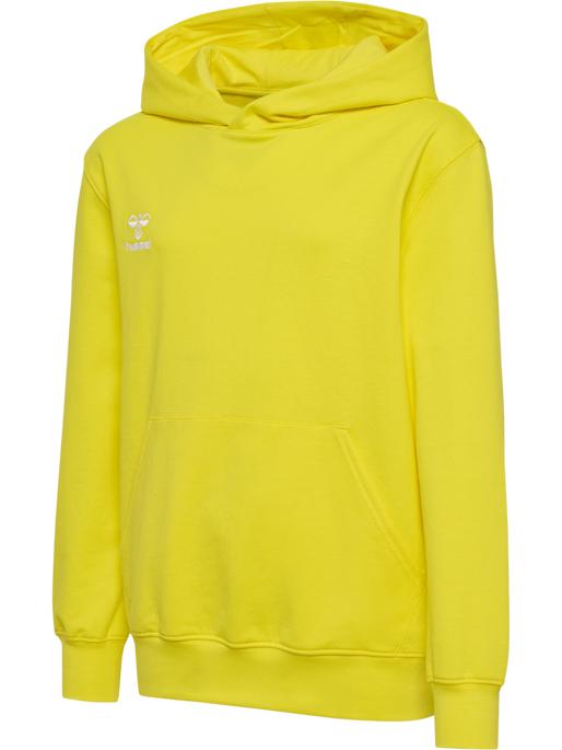 Actual product image hummel HMLGO 2.0 HOODIE KIDS (152)