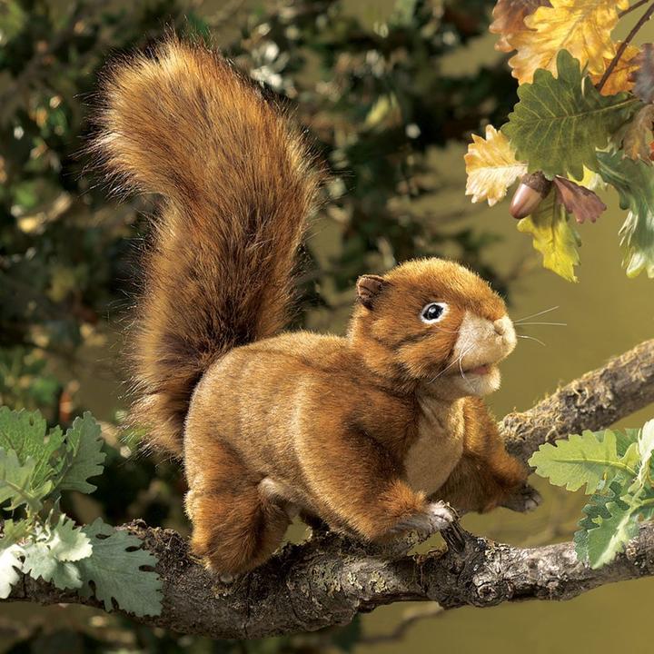 Actual product image Folkmanis Squirrel