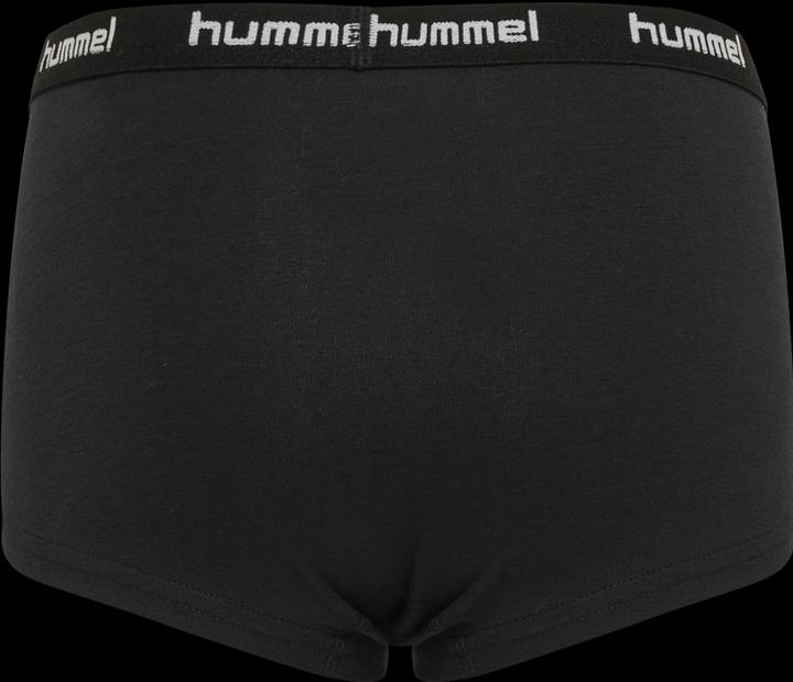 Image du produit hummel Hmlcarolina Hipsters 2-Pack (104, lot de 2)