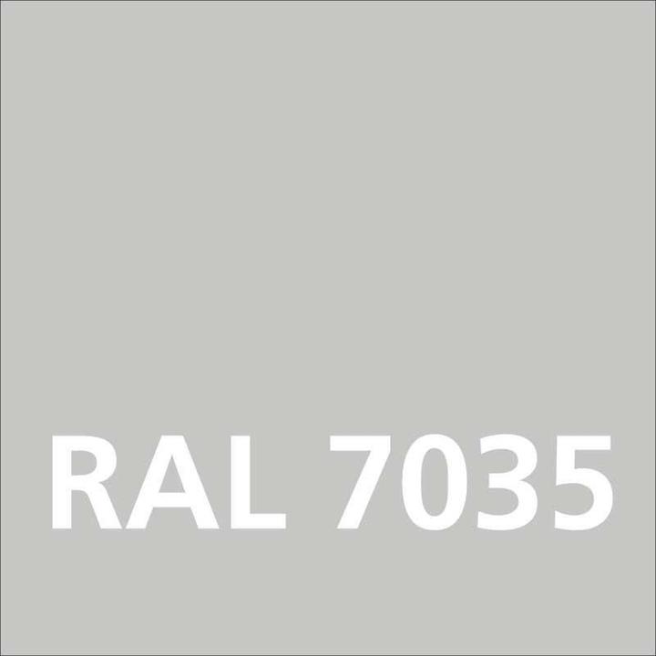 Produktbild Dupli-Color Acryllack seidenmatt RAL 7035 lichtgrau (Lichtgrau, 0.40 l)