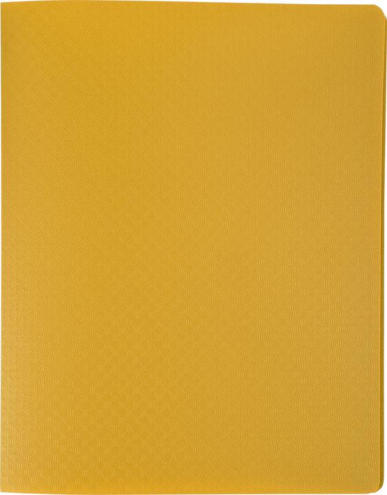 Actual product image Exacompta Display folders (A5, 1 x)