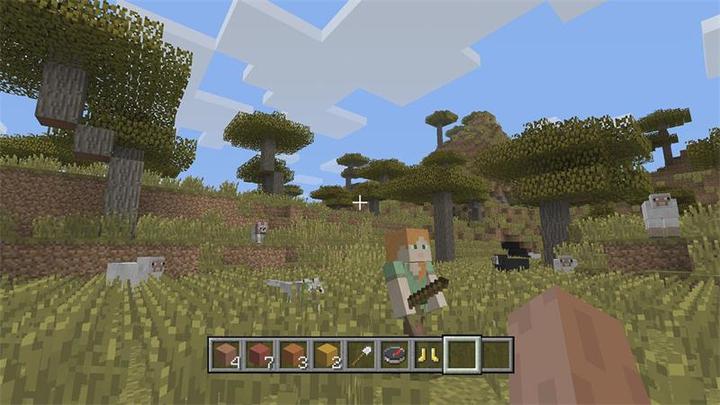 Image du produit Sony Minecraft: Starter Edition (PS4, EN)