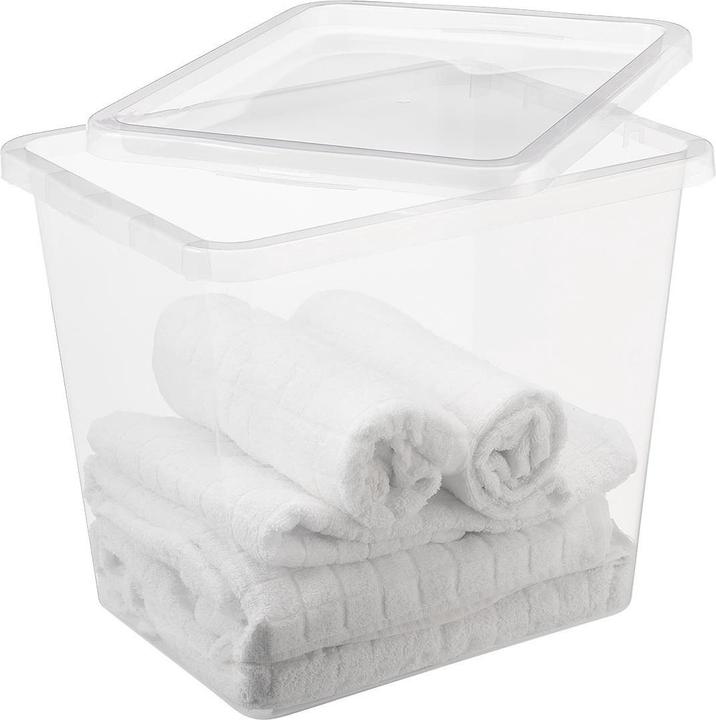 Immagine prodotto Okko Basic Box 31l Chiaro