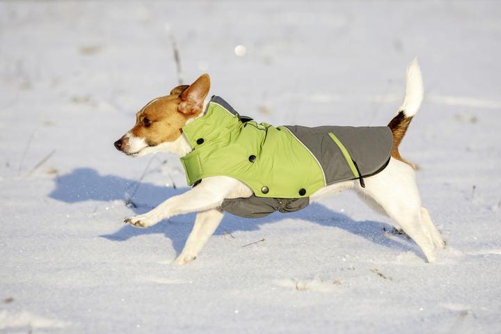 Immagine prodotto Kerbl Vancouver all'aperto (S, Cappotto per cani)