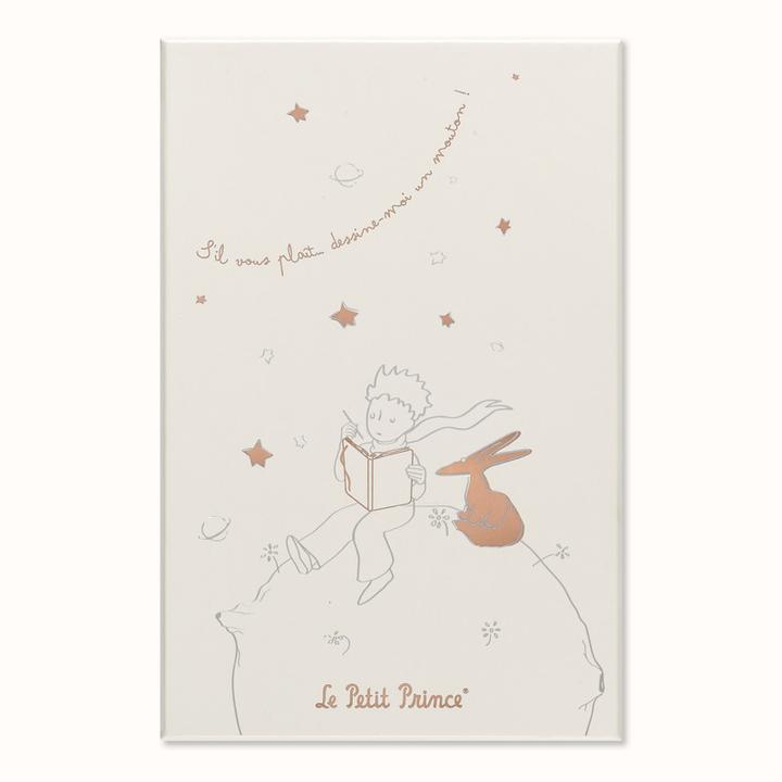 Actual product image Moleskine The Little Prince (130 x 210 mm, Lined, Hardcover)