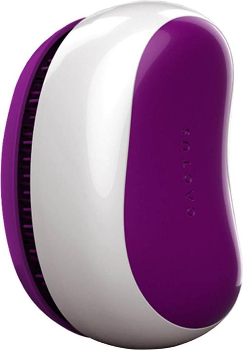 Image du produit Cactus Barbora - Pourpre royal