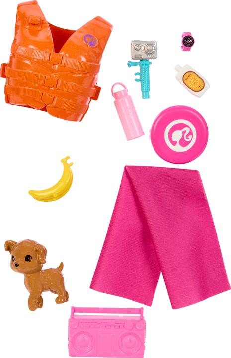 Actual product image Barbie Doll and Accessories