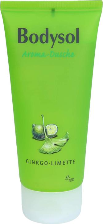 Omega Pharma Bodysol Aroma-Duschgel Ginkgo-Limette, 100 ml XDG (100 ml)