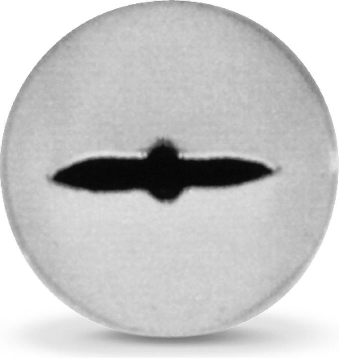 Produktbild Städter Blatttülle klein 10 mm (Spritztüllen)