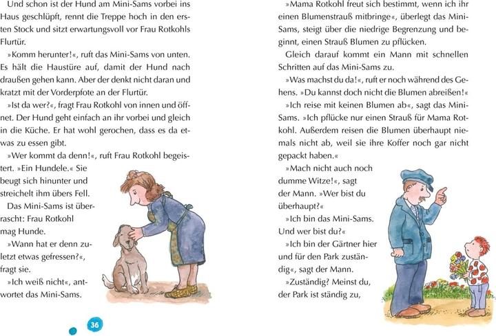 Productafbeelding Das Sams. Geschichten vom Mini-Sams (Duits, Paul Maar, 2025)