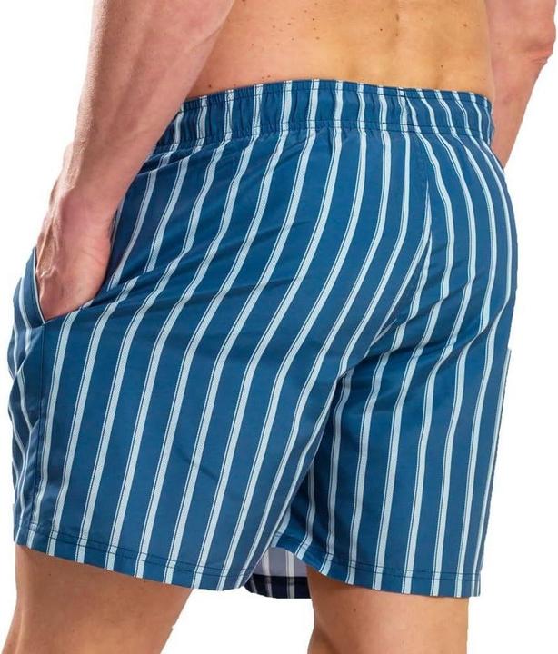 Actual product image Ript Essentials Mens Stripe Swim Shorts (XL)