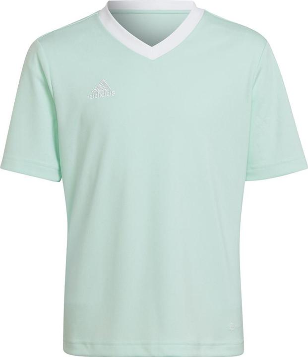 adidas Entrada 22 Trikot