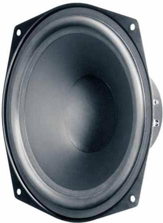Immagine prodotto Visaton Woofer HiFi WS 20 E, 8 Ohm