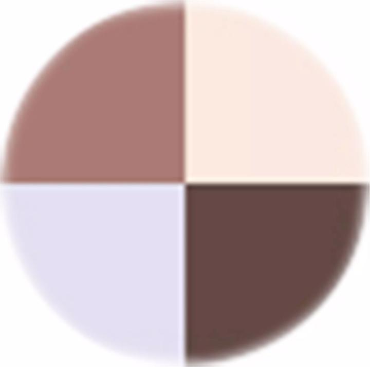 Actual product image Sensai Eye Color Palette (04 Frosty Twilight)