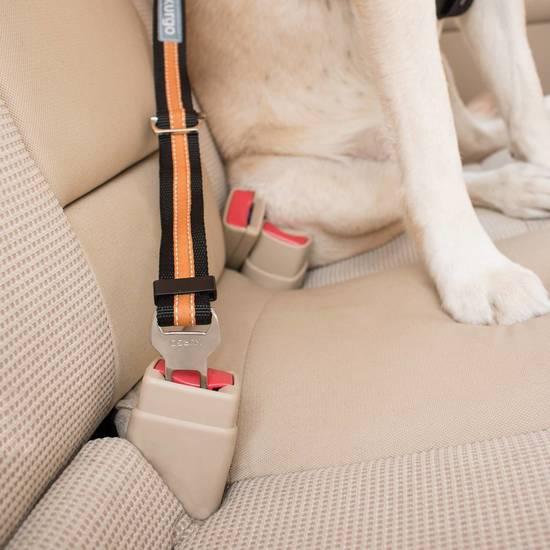Actual product image Kurgo Seatbelt Tether safety belt for dogs (Dog, Reflectors)