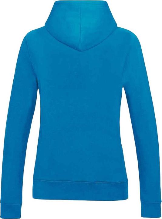 Produktbild Awdis College Kapuzenpullover (L)