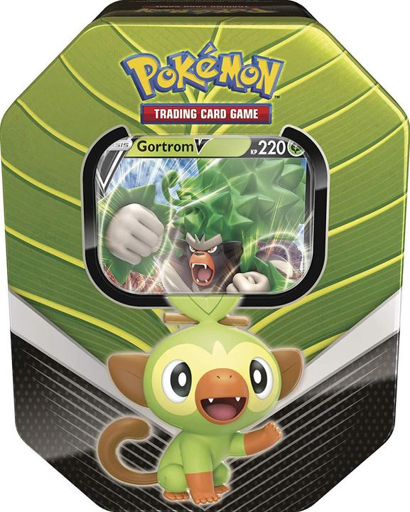 Actual product image Pokémon Tin Box Gortrom