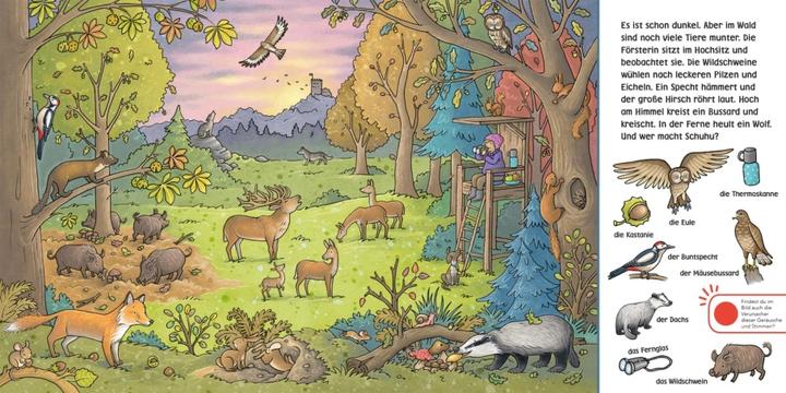 Immagine prodotto Ascolta (libro sonoro): Wimmelbuch: Wald und Wiese (Foresta e prato) (Becker souffie, Julia Hofmann, Tedesco)